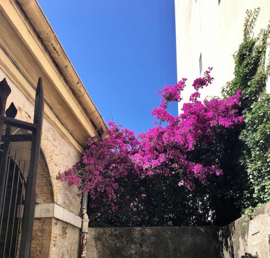 Hotel Diana Vence Dış mekan fotoğraf