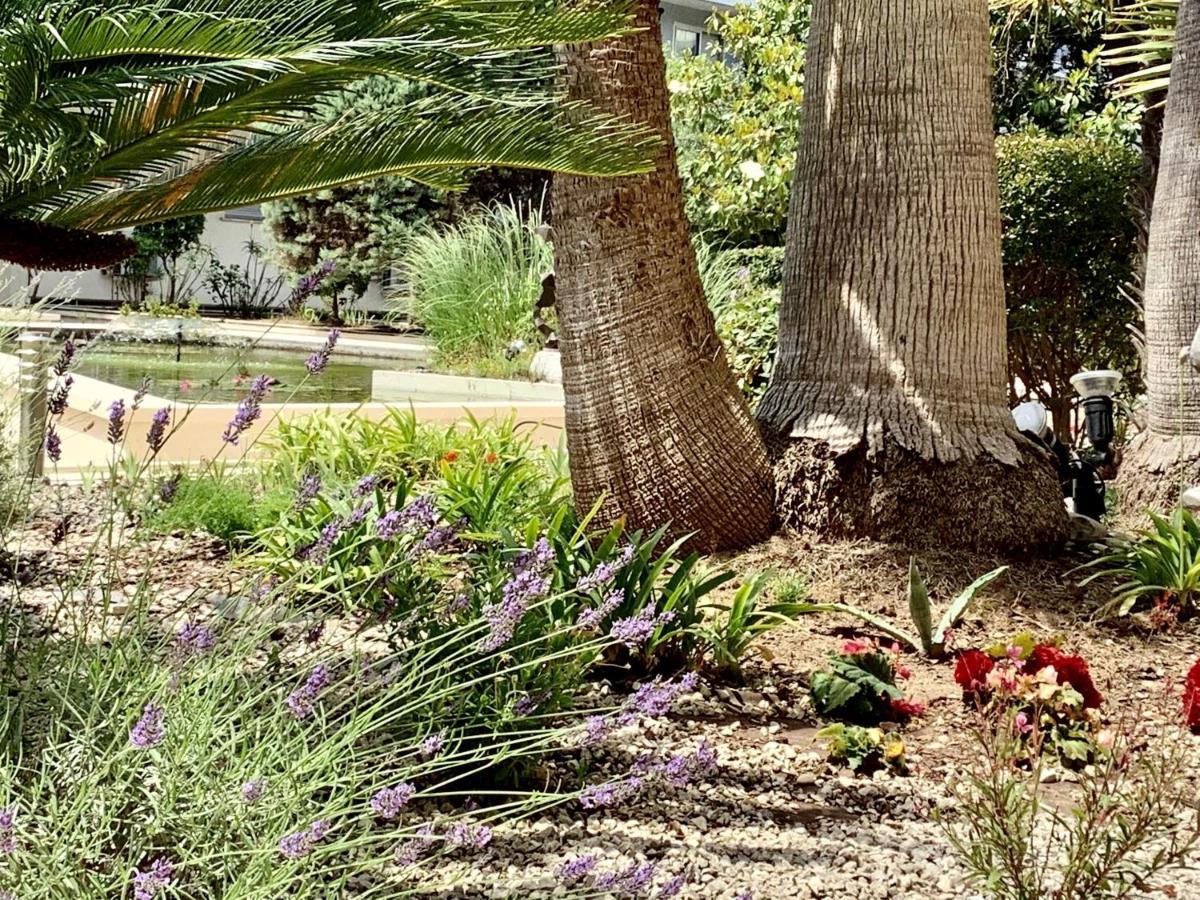 Hotel Diana Vence Dış mekan fotoğraf